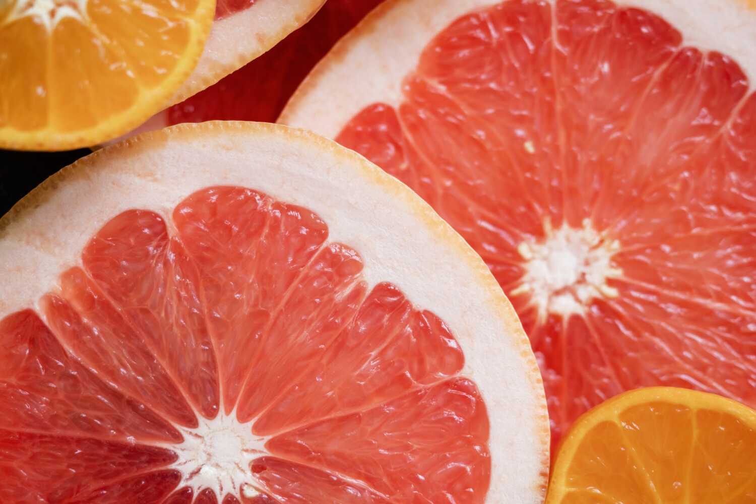 izvori vitamina c