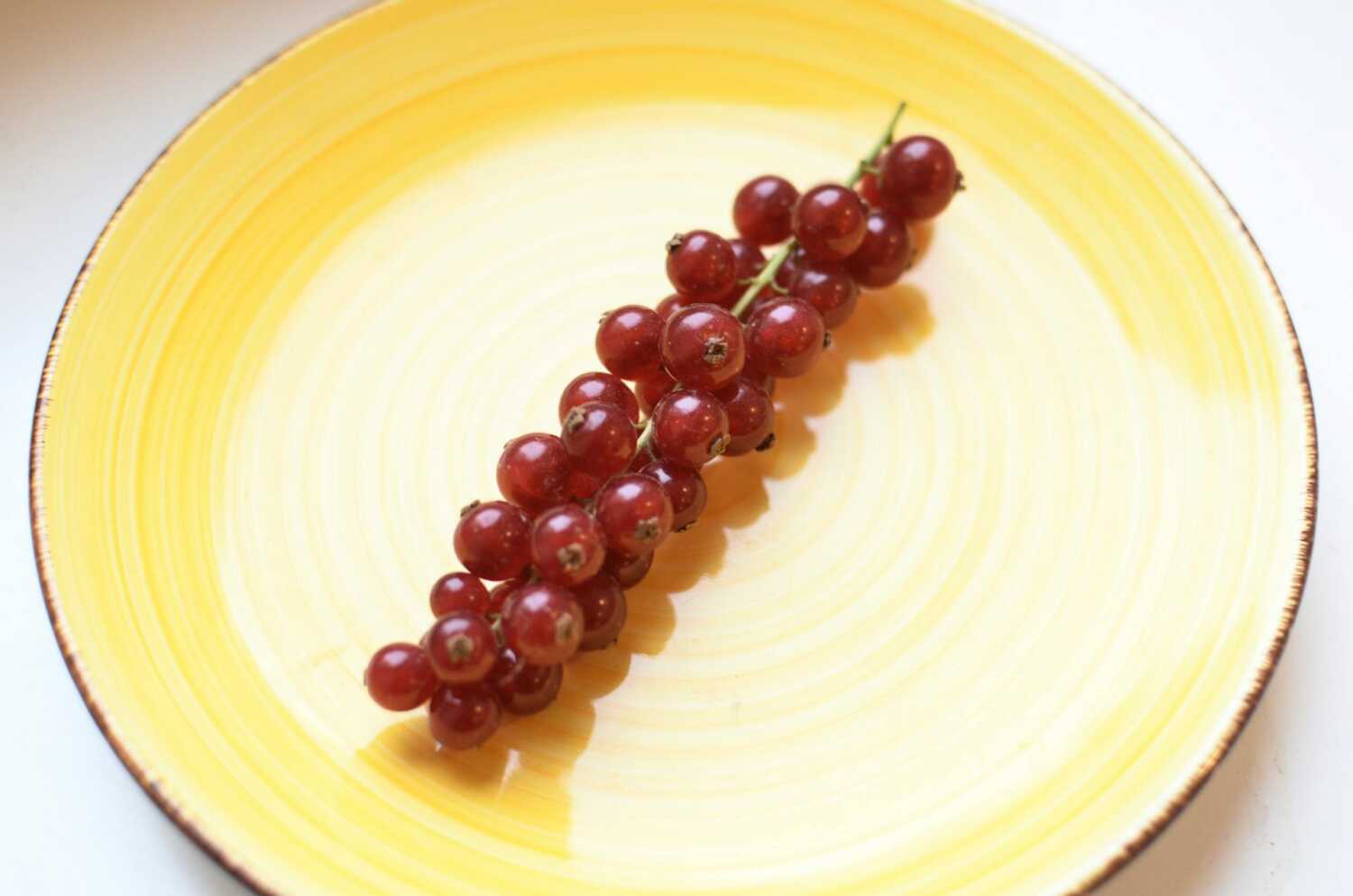 zasto su ribizle dobre