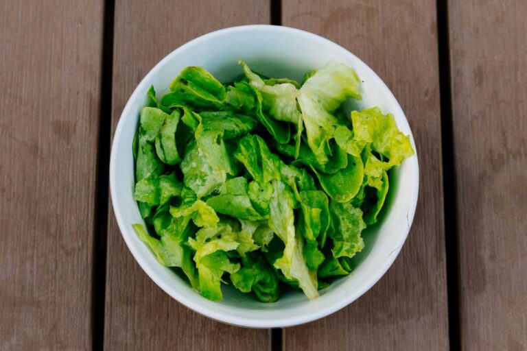 Read more about the article Zašto je zelena salata zdrava: 10 razloga zašto jesti zelenu salatu