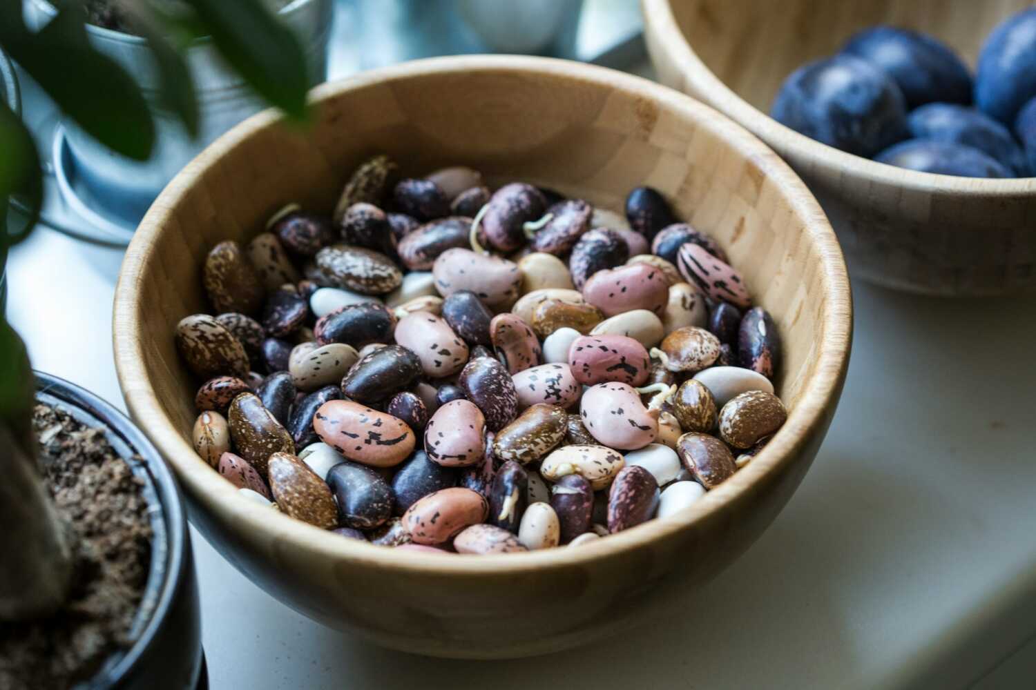 zašto je zdrav pasulj